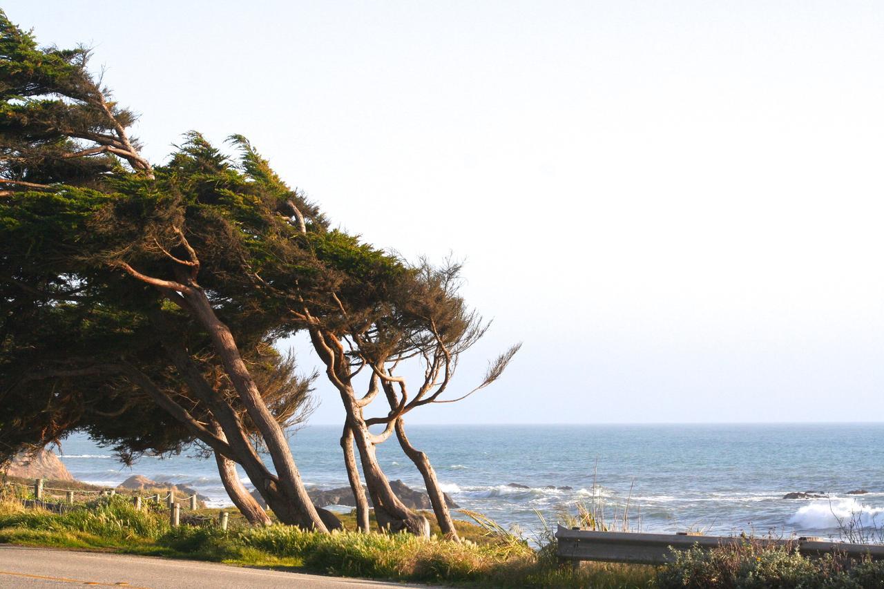 Captain'S Cove Inn Cambria Exterior photo